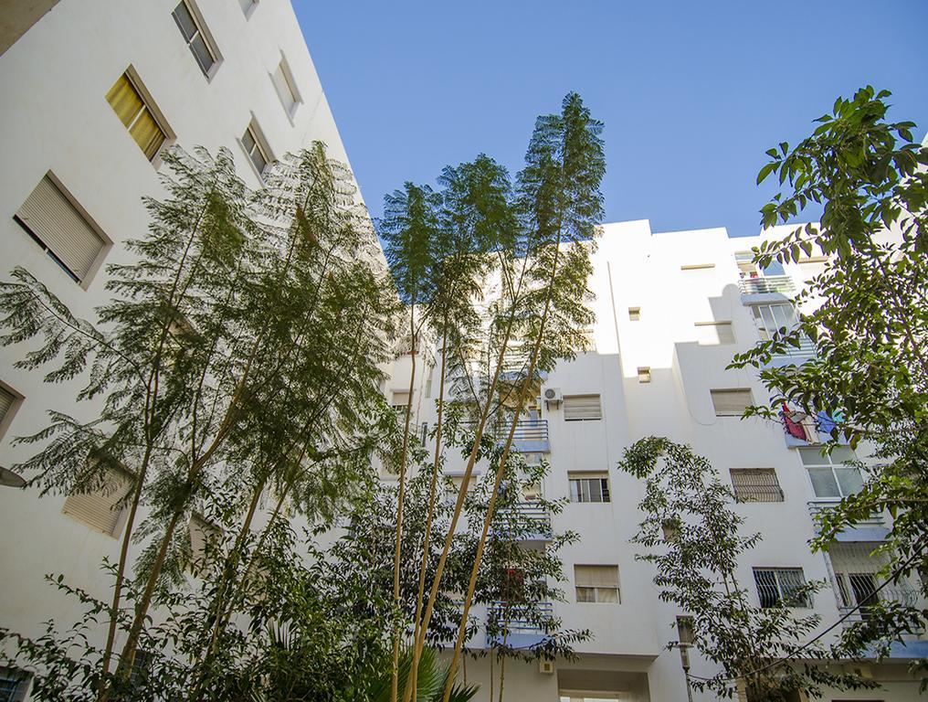 Appartement Immoconst 11 *